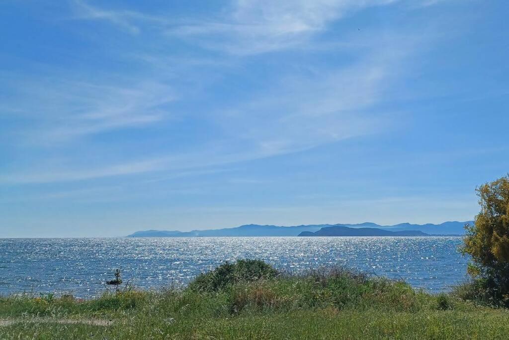 Appartamento Sul Mare Su Forti المظهر الخارجي الصورة